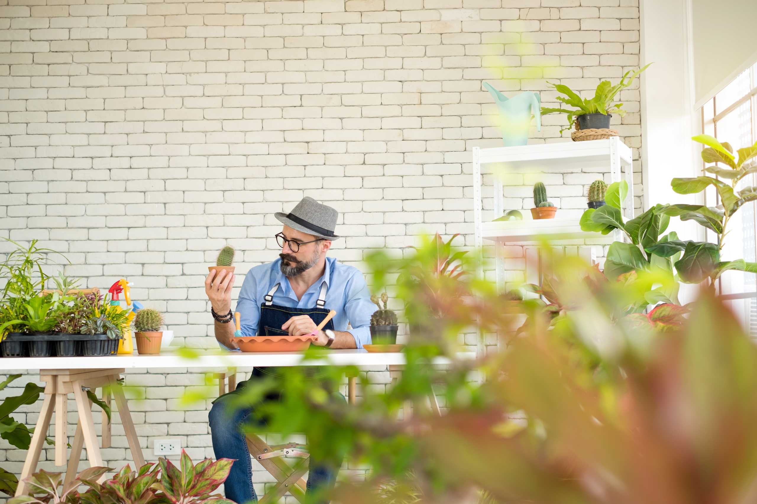 Transforming Small Gardens Into Stunning Retreats